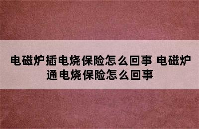 电磁炉插电烧保险怎么回事 电磁炉通电烧保险怎么回事